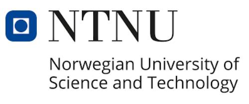 Norwegian University of Science and Technology (NTNU)